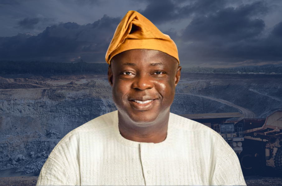 Prof Olasegun Ige